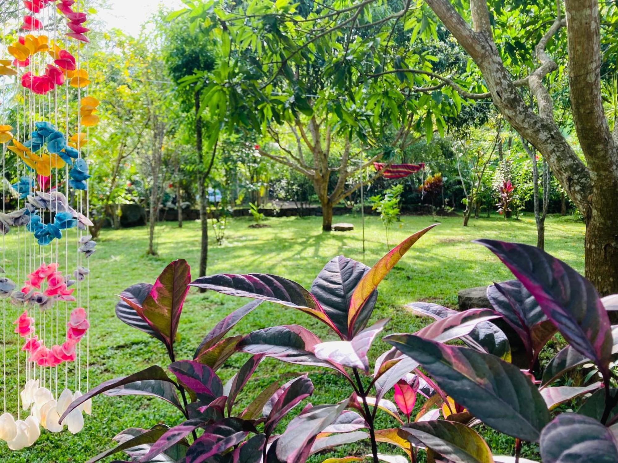 Suncity Privacy Cottages Udawalawe Eksteriør bilde